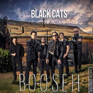 black-cats-booseh