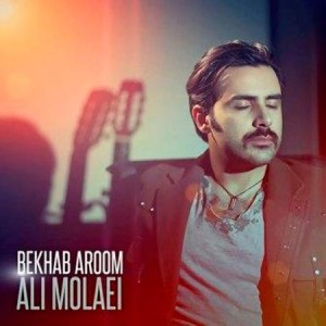 Ali-Molaei-Bekhab-Aroom