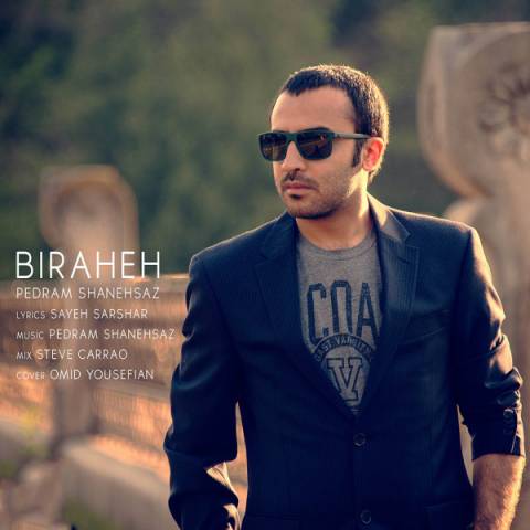 Pedram Shanehsaz - Biraheh