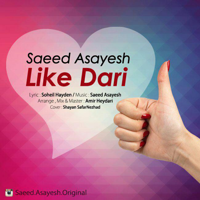Saeed Asayesh - Like Dari