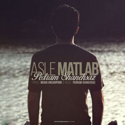 Pedram Shanehsaz - Asle Matlab