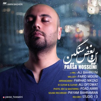 Parsa Hosseini - In Boghz Sangin