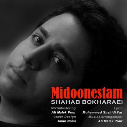 Shahab Bokharaei - Midoonestam