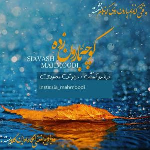 سیاوش محمودی کوچه ی بارون زده